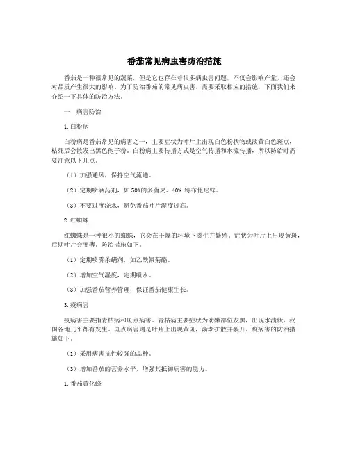 番茄常见病虫害防治措施