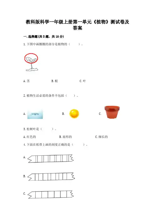 教科版科学一年级上册第一单元《植物》测试卷及答案含答案【综合题】
