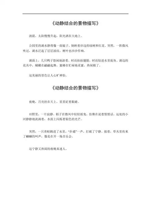 动静结合的景物描写200字作文初二上册