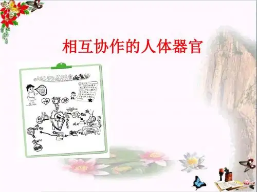 四年级科学上册4.7呵护我们的身体 PPT精品课件1教科版