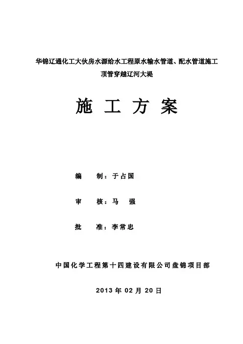 穿越堤坝顶管方案