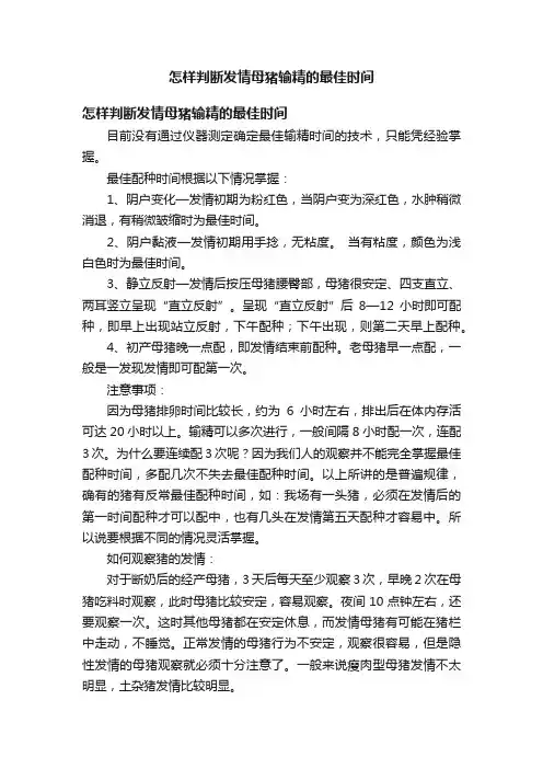 怎样判断发情母猪输精的最佳时间