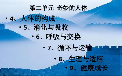 冀教版小学科学六年级下册第二单元《奇妙的人体》复习课件