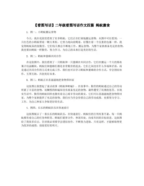【看图写话】二年级看图写话作文四篇 蚂蚁搬食