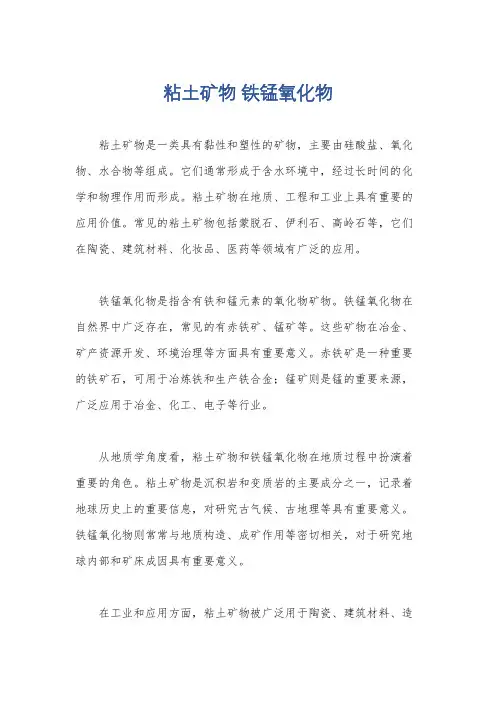 粘土矿物 铁锰氧化物