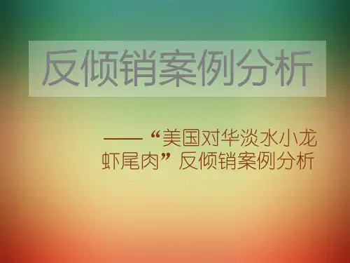 倾销与反倾销案例分析