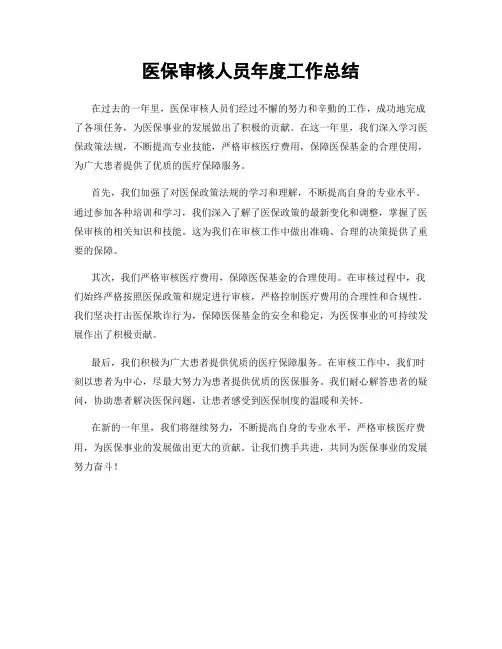 医保审核人员年度工作总结