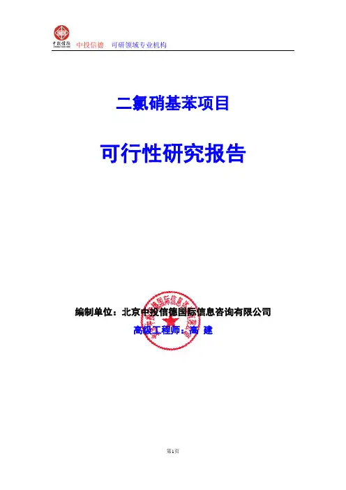 二氯硝基苯项目可行性研究报告编写格式及参考(模板word)