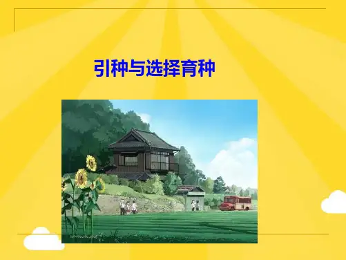 引种和选择育种(共77张PPT)