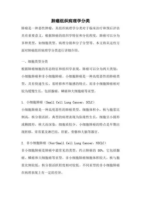 肺癌组织病理学分类
