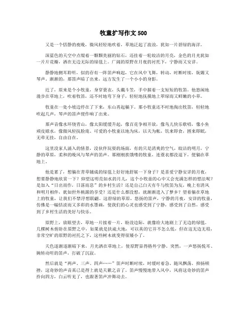 牧童扩写作文500