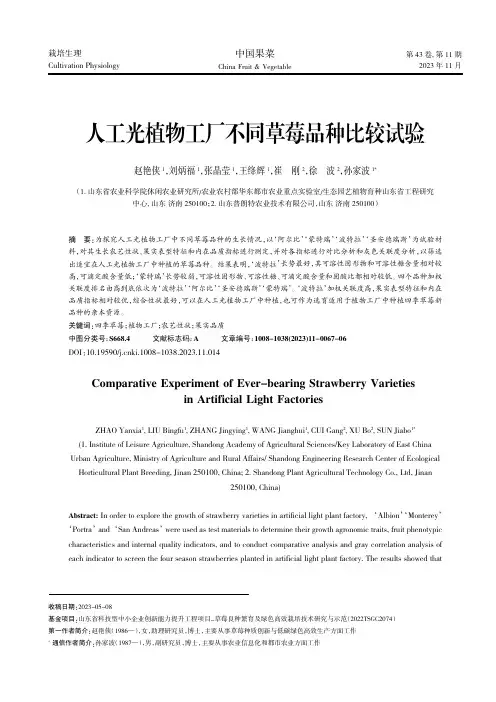 人工光植物工厂不同草莓品种比较试验