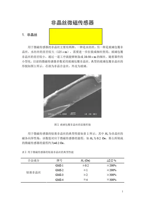 非晶丝微磁传感器简介