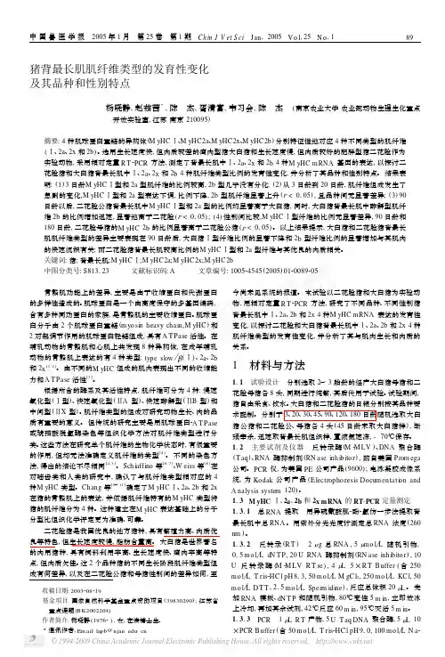 猪背最长肌肌纤维类型的发育性变化及其品种和性别特点