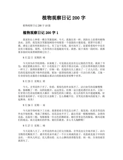 植物观察日记200字