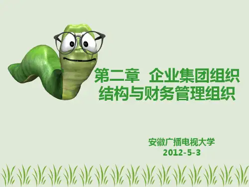 第二章企业集团组织结构与财务管理