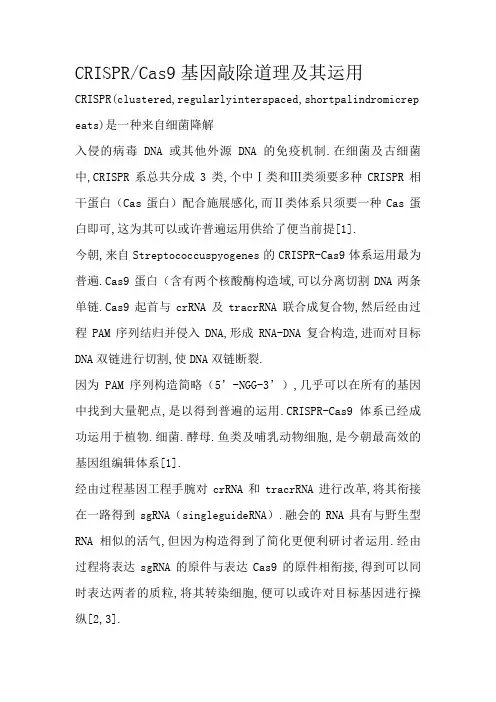 CRISPRCas9基因敲除原理及其应用