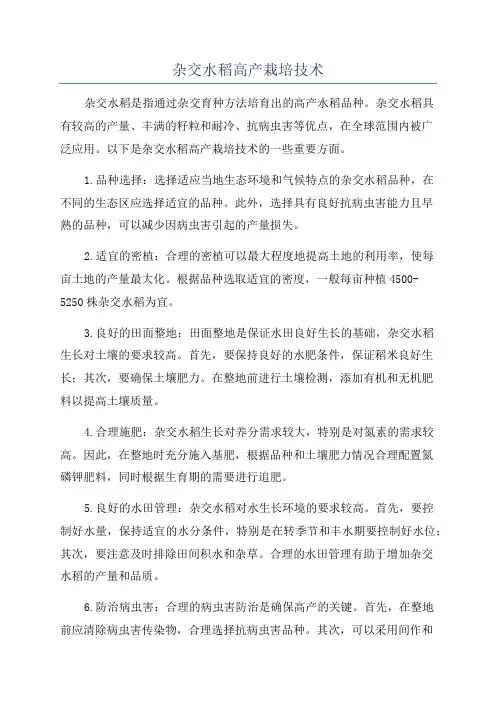 杂交水稻高产栽培技术
