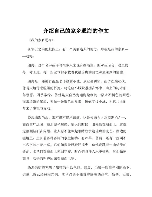 介绍自己的家乡通海的作文