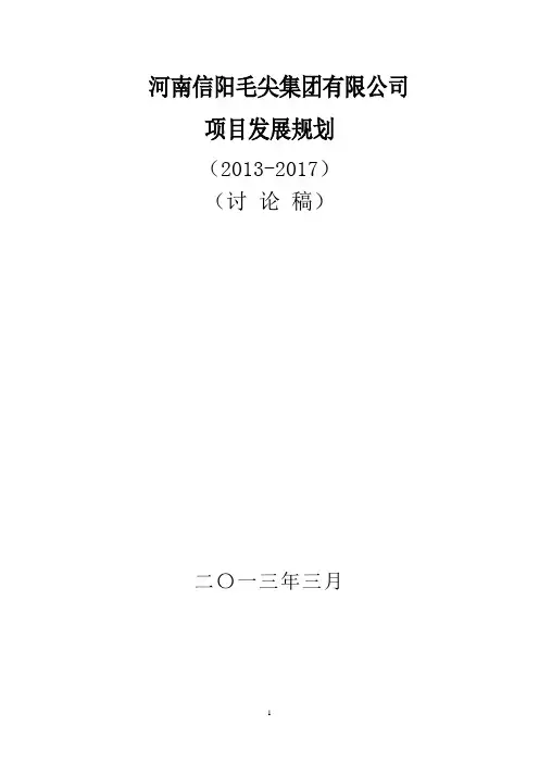 河南信阳毛尖集团有限公司项目规划