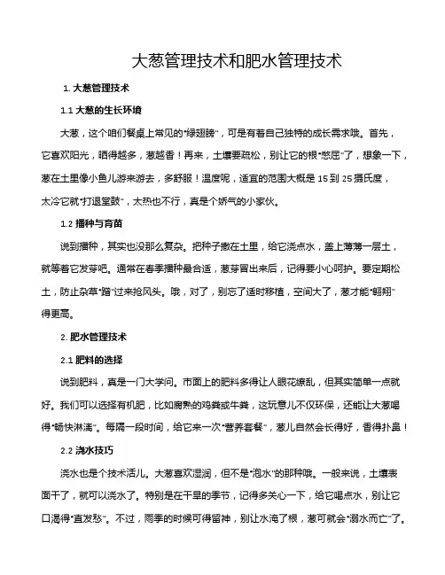 大葱管理技术和肥水管理技术