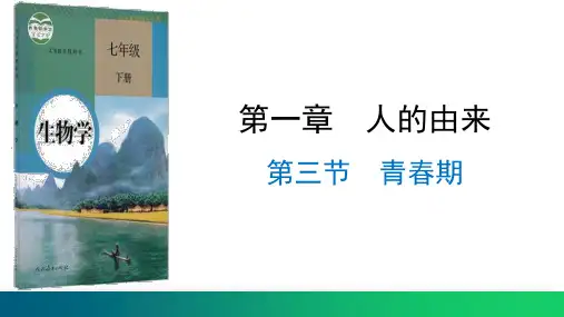 《青春期》PPT课件 人教版生物学七年级下册