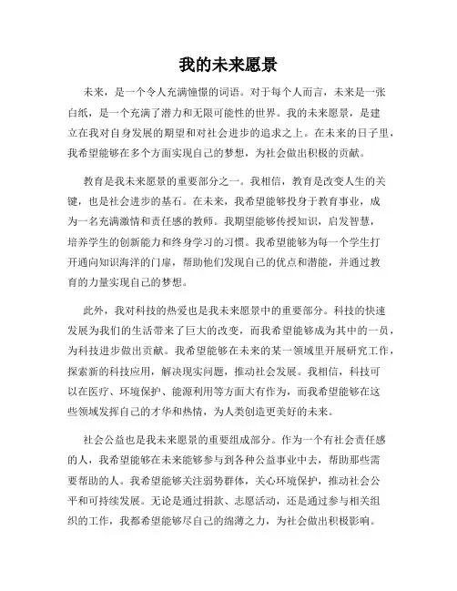 我的未来愿景