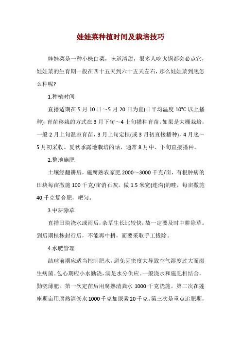 娃娃菜种植时间及栽培技巧
