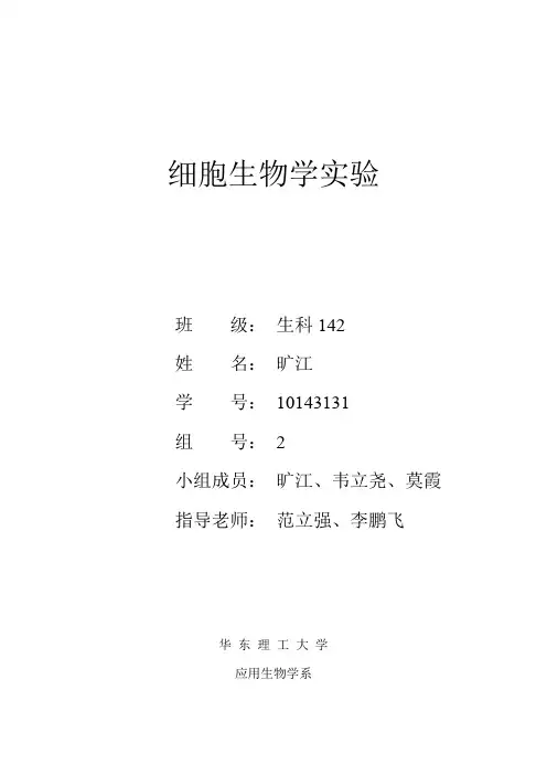 细胞生物学实验实验报告