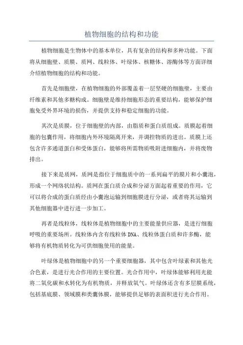 植物细胞的结构和功能