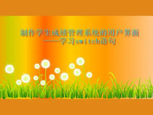 学习switch语句说课PPT