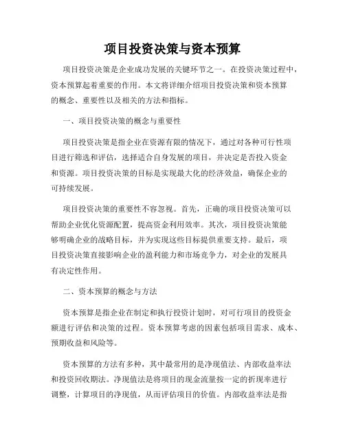 项目投资决策与资本预算