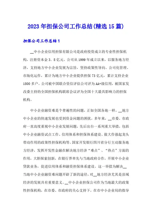 2023年担保公司工作总结(精选15篇)