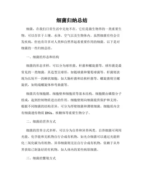 细菌归纳总结