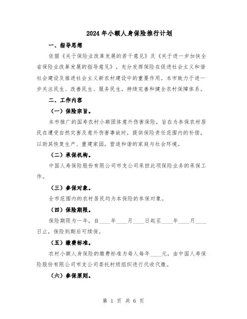 2024年小额人身保险推行计划（二篇）