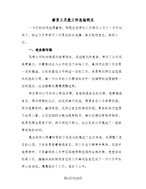 新员工月度工作总结例文（5篇）