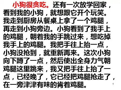 写小动物的作文PPT课件