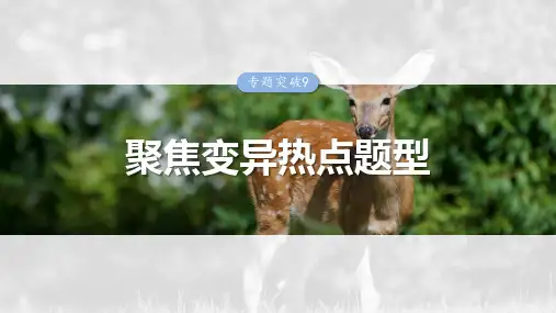 高考生物专项复习《聚焦变异热点题型》