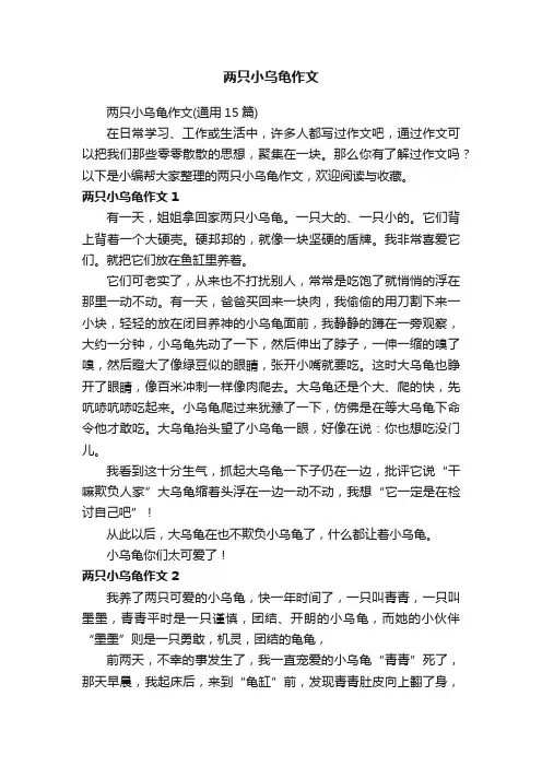 两只小乌龟作文（通用15篇）