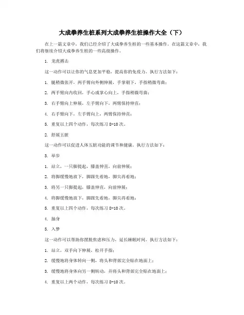 大成拳养生桩系列大成拳养生桩操作大全(下)