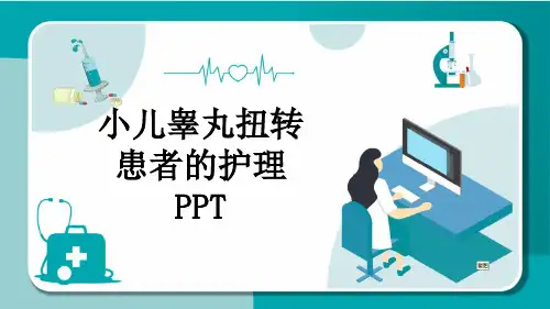 小儿睾丸扭转患者的护理PPT