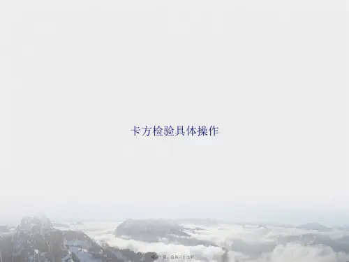 卡方检验具体操作讲课文档