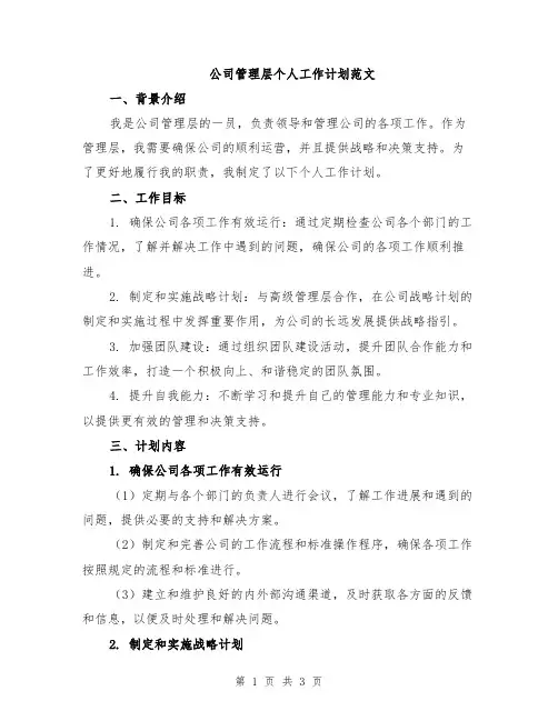 公司管理层个人工作计划范文