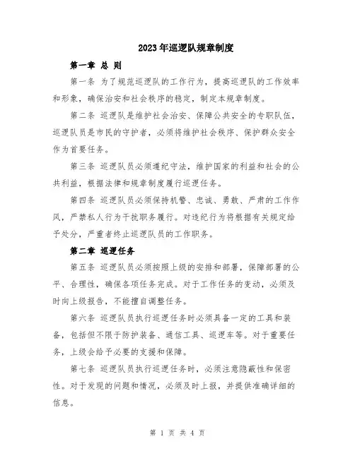 2023年巡逻队规章制度