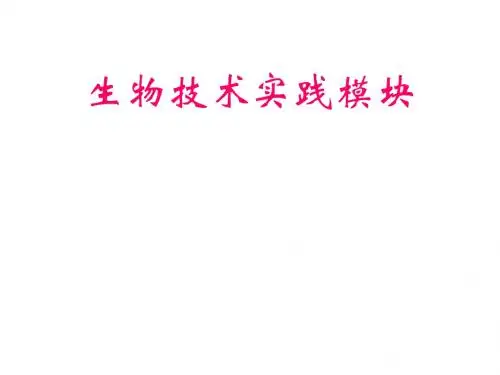 专题1  课题1 果酒和果醋的制作