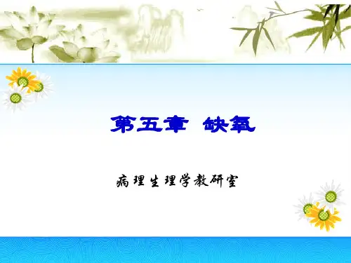 病理生理学缺氧PPT课件