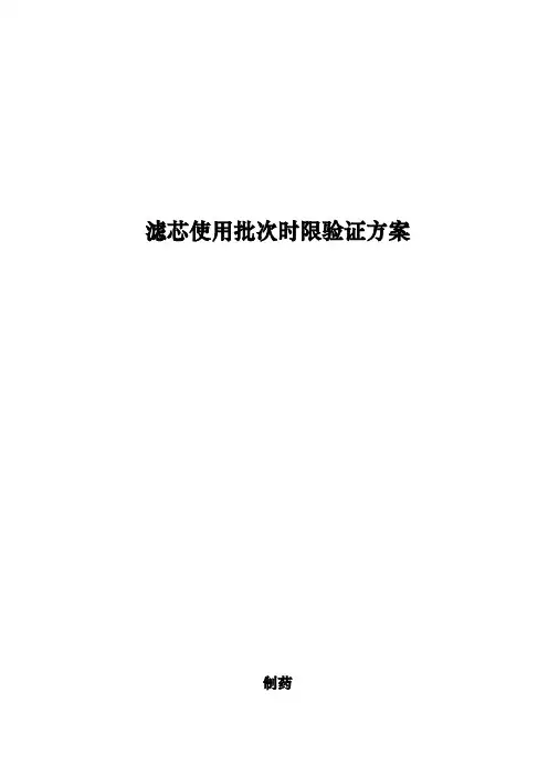滤芯使用批次时限验证方案
