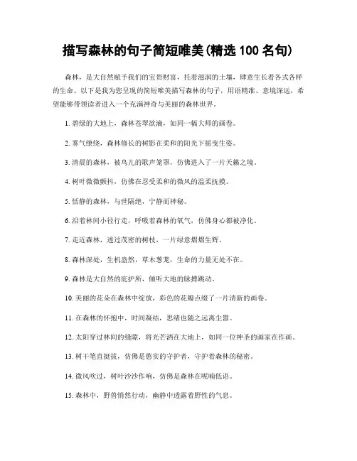 描写森林的句子简短唯美(精选100句)