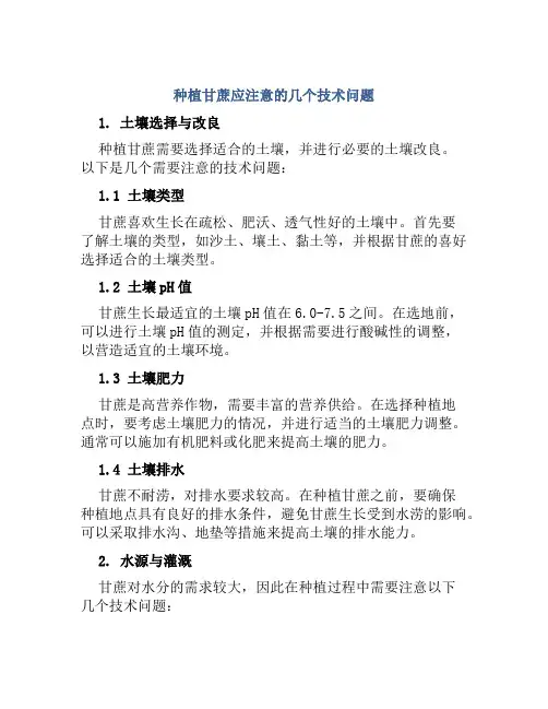 种植甘蔗应注意的几个技术问题