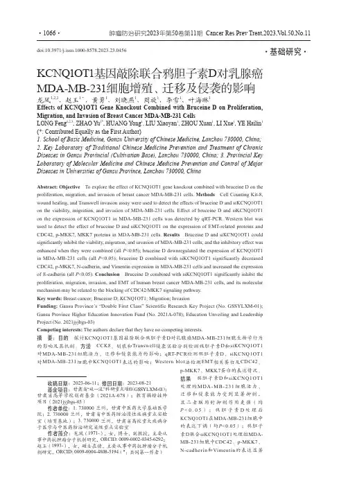 KCNQ1OT1基因敲除联合鸦胆子素D对乳腺癌MDA-MB-231细胞增殖、迁移及侵袭的影响